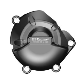 Protezione carter alternatore secondario GB RACING per Kawasaki Z800/E (2013-2016)