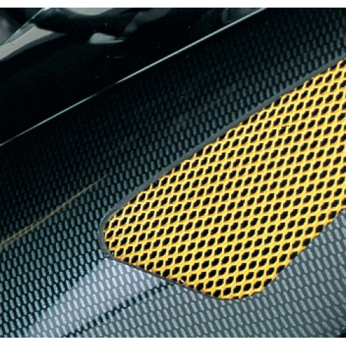 Puntale Motore in ABS POWERBRONZE Colore Carbon Look Griglia Oro per HONDA CBF 1000 (2006/2009)