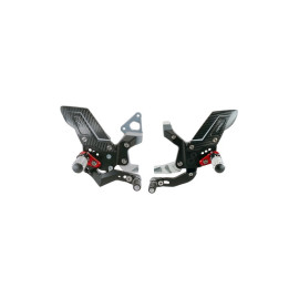 Pedane Poggiapiedi Regolabili R Version LIGHTECH per Ducati PANIGALE 899 - 1199 - 1298 / PANIGALE V2
