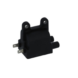 BOBINA AT ESTERNA DOPPIA ACCENSIONE TRIUMPH 790 - 865 - 900 -1000 -1200