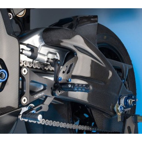 Protezioni Forcellone in Carbonio lucido LIGHTECH per BMW S 1000 RR (2009-2015) - S 1000 R (2015-2017)