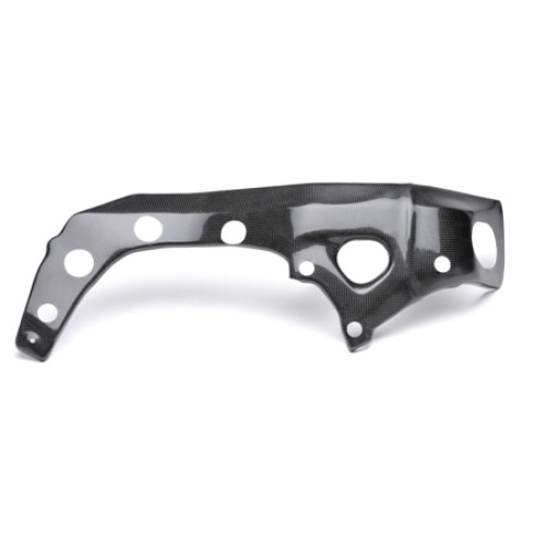 Protezioni Telaio in Carbonio lucido LIGHTECH per BMW S 1000 RR (2009-2015) - S 1000 R (2015-2017>)