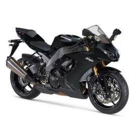Protezioni Forcellone in Carbonio LIGHTECH per KAWASAKI ZX10 R (2008-2010)