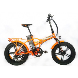 BICICLETTA ELETTRICA REDWOOD MAG 250W- PIEGHEVOLE CON PEDALATA ASSISTITA -