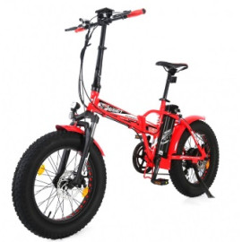 BICICLETTA ELETTRICA REDWOOD 1000 W - PIEGHEVOLE CON PEDALATA ASSISTITA -