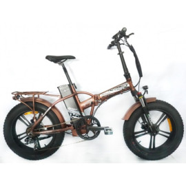 BICICLETTA ELETTRICA REDWOOD MAG 250W- PIEGHEVOLE CON PEDALATA ASSISTITA -