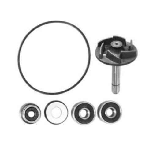 Kit Revisione Pompa Acqua per PIAGGIO 250 BEVERLY/X9 (2004/2005)