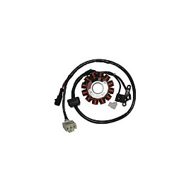 Statore completo Kokusan 150W - 12 poli - trifase diametro est. 84 - c/pick-up a 2 cavi c/connettore bianco MOTORE PIAGGIO LEADER 125 4T INIEZIONE per PIAGGIO 125 VESPA LX IE (09/13) 125 VESPA LX TOURING IE (10/13) 125 VESPA LXV IE (10/13)