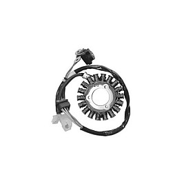 Statore trifase 18 poli diametro est. 91,8 int. 34,7 - c/pick-up a 2 cavi MOTORI KYMCO 250 4T CARBURATORE  per DAELIM S2 250 - KYMCO GRAN DINK 250 (01/09) B&W 250 (00/07) PEOPLE 250/S YUP 250 (05/07 carb.) X-CITING 250 (05/07 carb.)