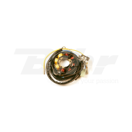 Statore 8 bobine, connettore 2 fili, connettore 2 filiI per HONDA CRF 250R (04/04) - (2006-2009) - CRF 450R (2005-2008)