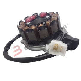 Statore 12 poli - trifase Ducati Energia per HUSQVARNA WRE 125 (07/13) SM 125 S (07/13)