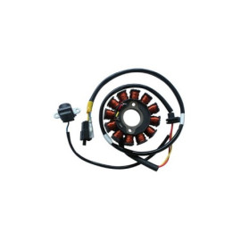 Statore completo 12 poli diametro est. 88,5 int. 29 - c/pick-up a 1 cavo  MOTORI KYMCO 125/200 4T CARB. - ARIA - per KYMKO 125 PEOPLE S (05/07) 125 PEOPLE S DD EU3 (07/10) 200 PEOPLE S (05/08 - CARB.) - MALAGUTI 125 CIAK M. (06/09) 200 CIAK M. (06/08)