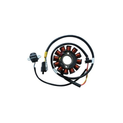Statore completo 12 poli diametro est. 88,5 int. 29 - c/pick-up a 1 cavo  MOTORI KYMCO 125/200 4T CARB. - ARIA - per KYMKO 125 PEOPLE S (05/07) 125 PEOPLE S DD EU3 (07/10) 200 PEOPLE S (05/08 - CARB.) - MALAGUTI 125 CIAK M. (06/09) 200 CIAK M. (06/08)