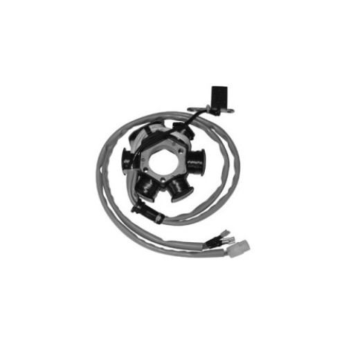 Statore 6 poli  per PIAGGIO 50 SFERA/RST/FL (91/97) - 50 SFERA (95/97) - 50 ZIP BASE/RST (92/98) - 50 ZIP FAST RIDER (93/99) - 50 ZIP SP (96/99) - 50 ZIP BASE (92/96) - 50 ZIP RST (99)