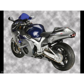 Parafango Posteriore colore CARBON LOOK-SILVER MESH per SUZUKI GSX1300R HAYABUSA (99-07)