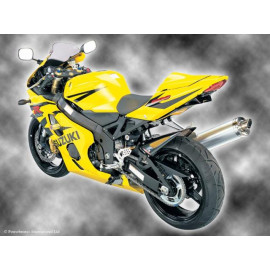 Parafango Posteriore Colore CARBON LOOK-GOLD MESH per SUZUKI GSXR600 (04-05) / GSXR750 (04-05)