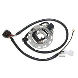 STATORE 1 BOBINA, CONNETTORE 8 FILI, CONNETTORE 2 FILI, 1 FASTON, 1 FILO per KAWASAKI KX65/85/100 (06-)
