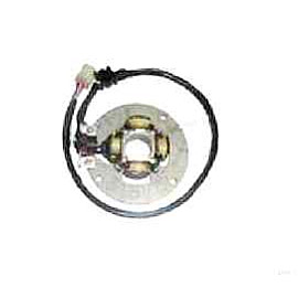 Statore ELECTROSPORT per YAMAHA YZ250F (2008-2009)