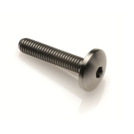 Vite con Testa Bombata in Titanio Grado 5 M5 Lunghezza 10mm