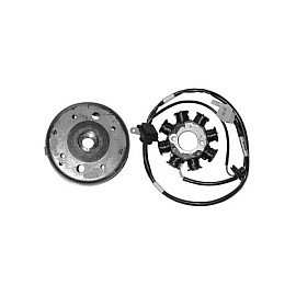 Volano completo 8 poli diametro 110,9 - cono 19 - rotazione dx - MOTORI KYMCO 125/150 4T ARIA - per KYMCO MOVIE 125/15/XL/EURO2 (98/06) VIVIO 125/150 AGILITY 125/EURO 2/EURO 3 (05/09 - ruote 12