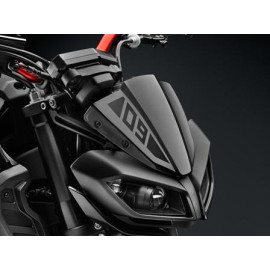 CUPOLINO IN POLICARBONATO per YAMAHA MT-09 (2017>)