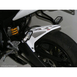PARAFANGO POSTERIORE colore CARBON LOOK-GOLD MESH per YAMAHA YZF-R125 (08-14)